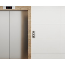 Бетоника Бланко ПРО