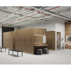 Бетоника Сильвер ПРО