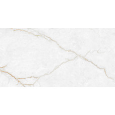 Торсо Голд Керамогранит 60х120 полированный