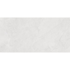 Портер Сильвер ПРО Керамогранит светло-серый LP6012G0171R 59,5х119,1 матовый структурный+гл.чернила
