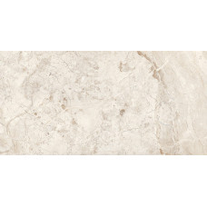 Брич Сильвер Керамогранит светло-серый 60х120 полированный