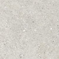 Гранито Гриджио Керамогранит серый CR6060G0461R 59,5х59,5 матовый