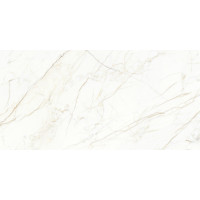 Европа Голд Керамогранит белый 60х120 матовый карвинг