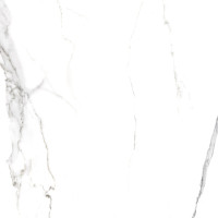 Вива Керамогранит белый SG169700N 40,2х40,2 матовый