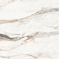 Статуарио Порш Керамогранит 60х60 матовый