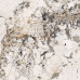 Патагония Керамогранит бежевый 60х60 полированный