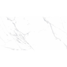 Статуарио Джастис Грей Керамогранит белый 60х120 матовый